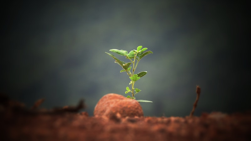 Aus Sicht des Innovationsmanagements ist die Unterscheidung in Innovationsarten wichtig, wenn es beispielsweise um die Innovationsstrategie und den Innovationsprozess geht.