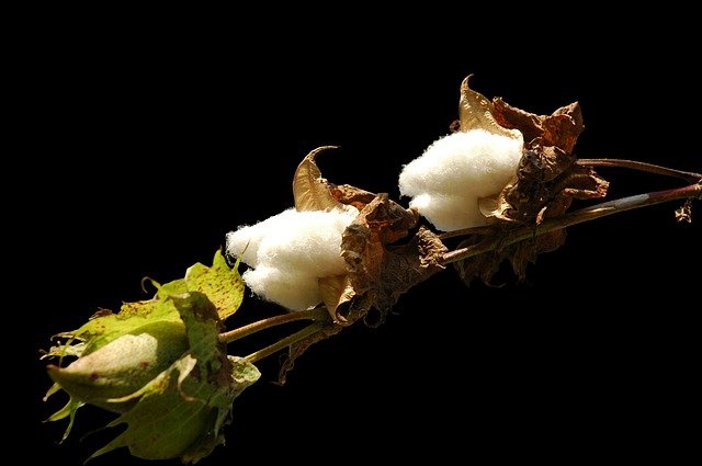 Before a finished garment is created, it passes through several production stages and often covers thousands of kilometers.